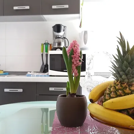 Panorama Apartamento